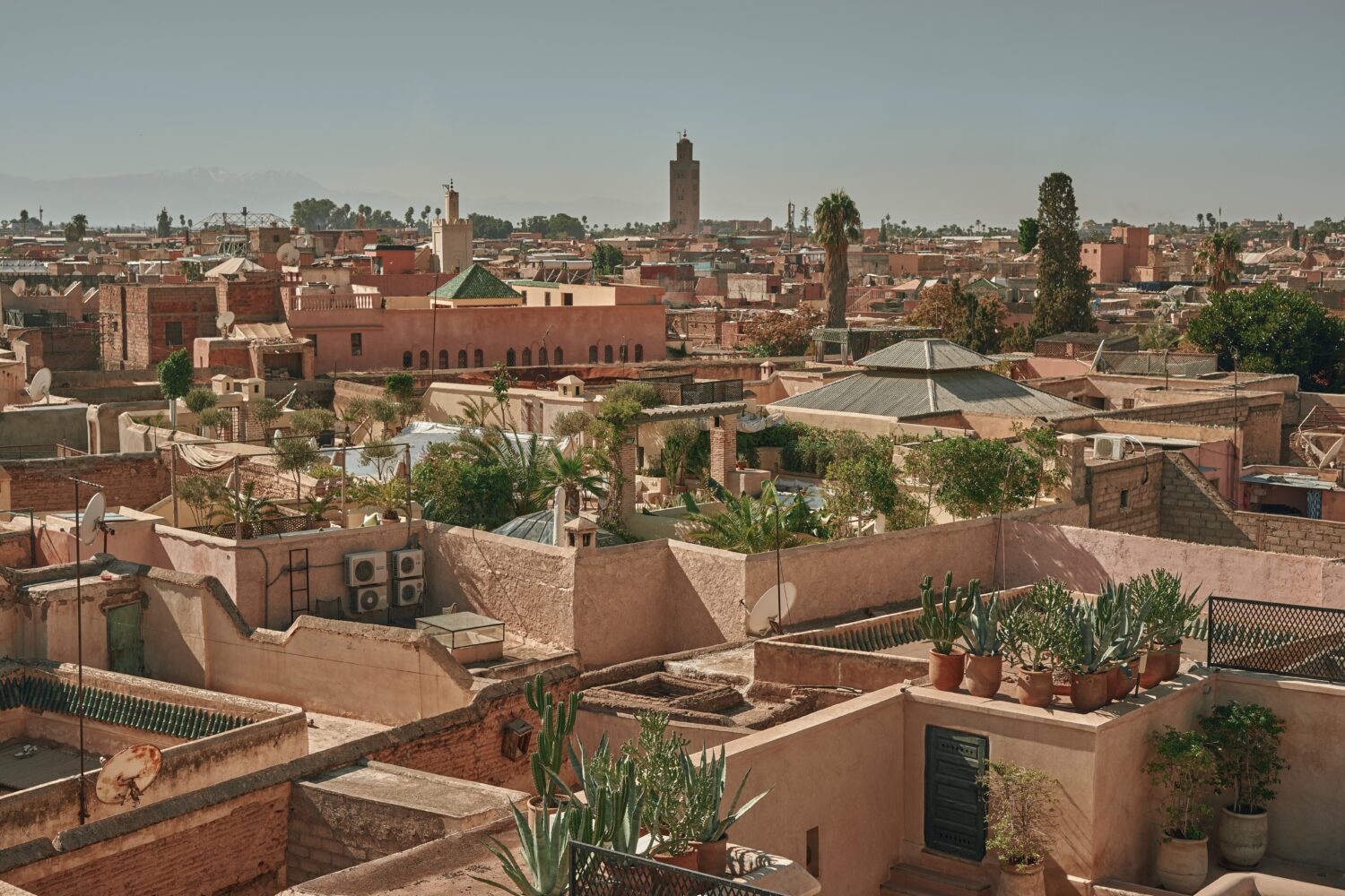 graf morocco авторские туры в марокко